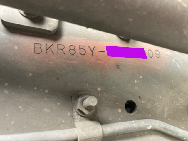 95533_39.jpg