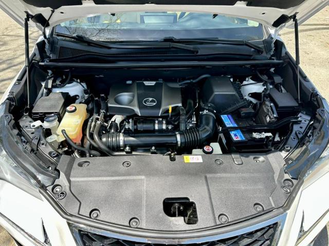 8519cc516f692113c9902c2fbf2b6e37.jpeg