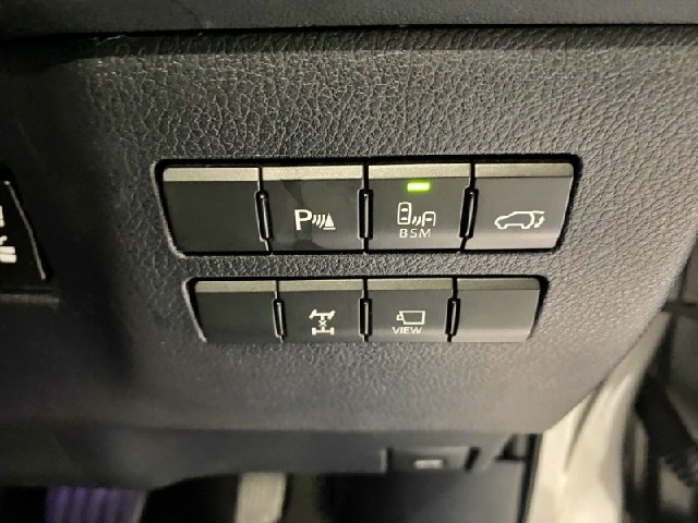 de0c3b7e3a311bcd0abcc0323d9b9694.jpeg