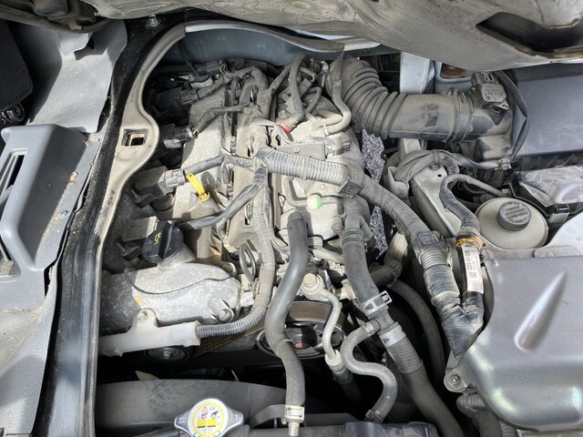 96456_24.jpg