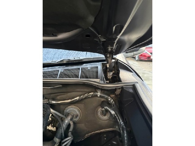 2b02b90c7036824bc9fd0239f11fbdbd.jpeg