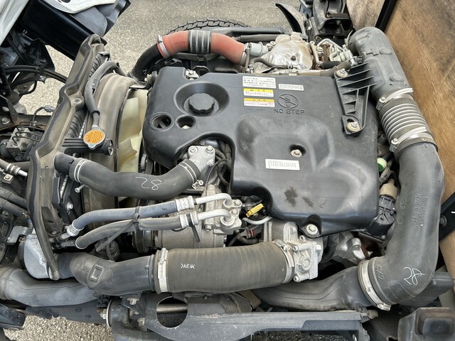 95988_23.jpg