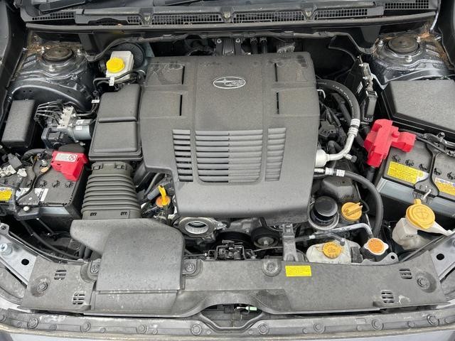 23674939_carP_l_16.jpg