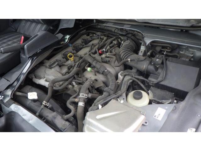 22000446_carP_l_5.jpg