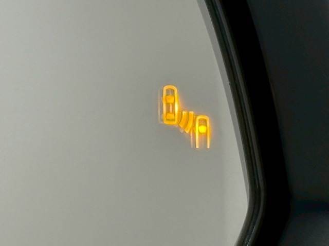 08.jpg