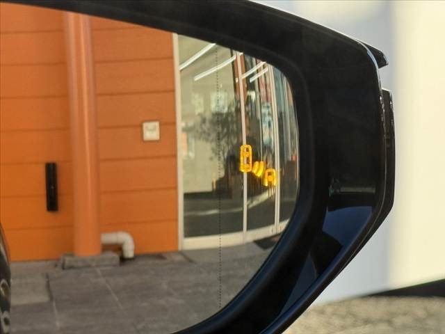 05.jpg