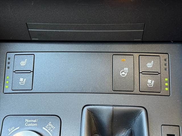 06.jpg