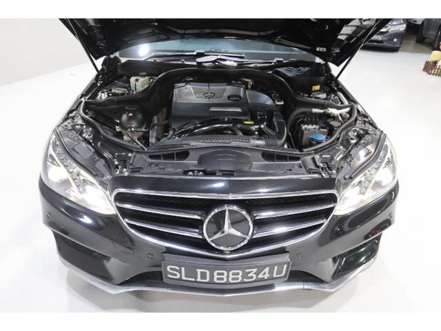 6ff28abb454496ed086abfc1cf371428.jpeg