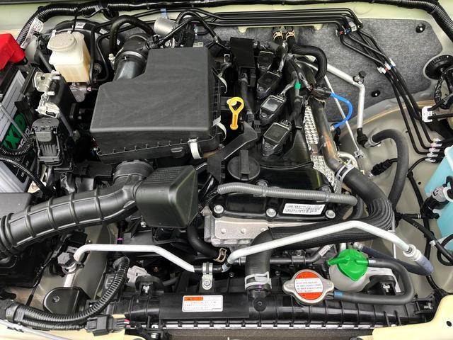 21891694_carP_l_16.jpg