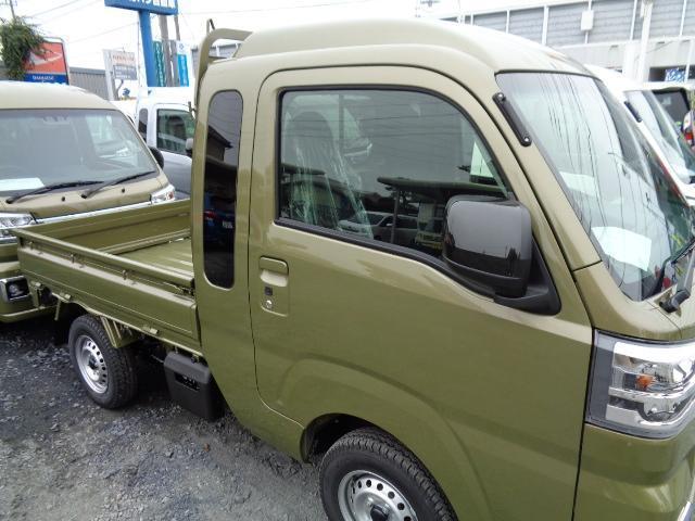 21989645_carP_l_7.jpg