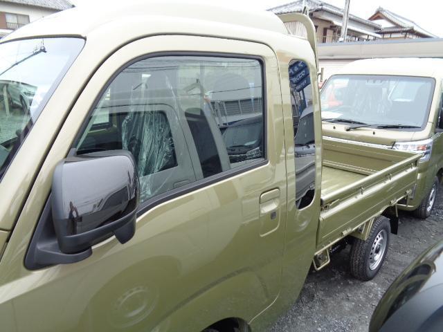 21989645_carP_l_8.jpg