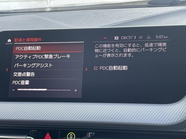 18430297_carP_l_11.jpg