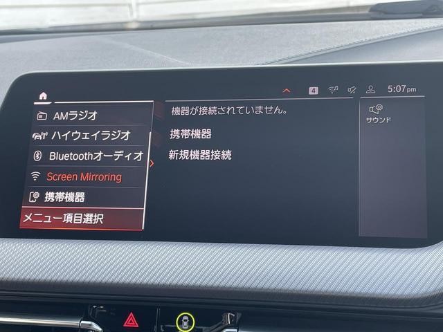 18430297_carP_l_12.jpg