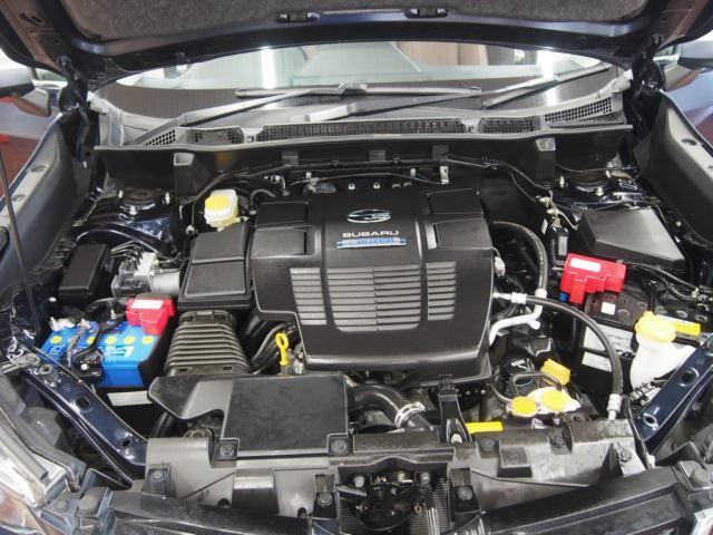 19567163_carP_l_17.jpg