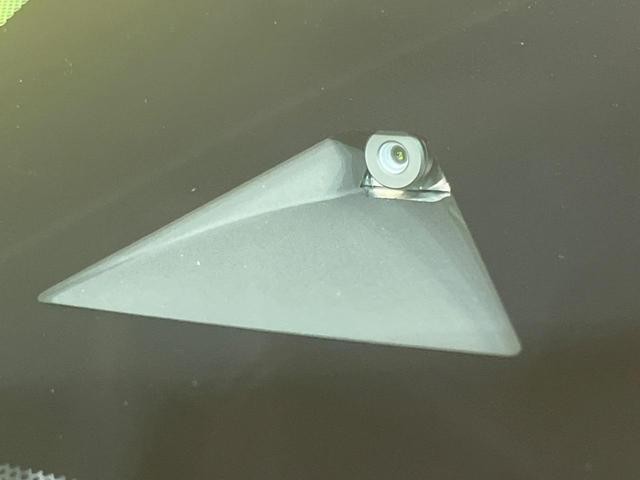 24849311_carP_l_4.jpg