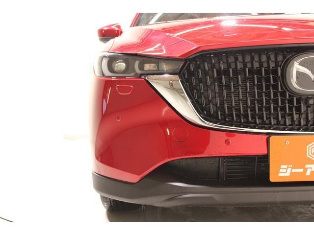 22714150_carP_l_18.jpg