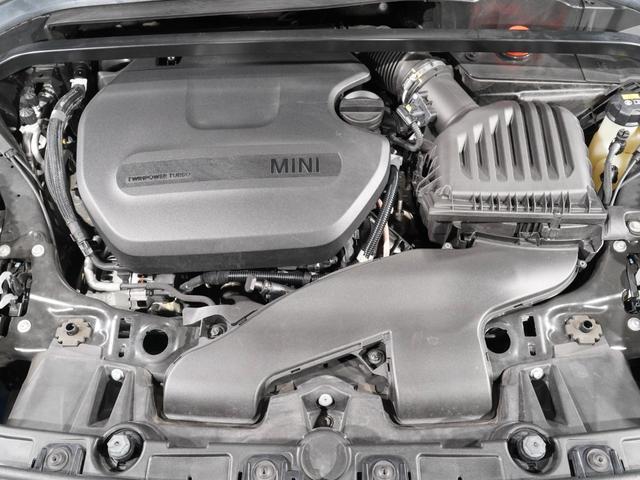 22543504_carP_l_14.jpg