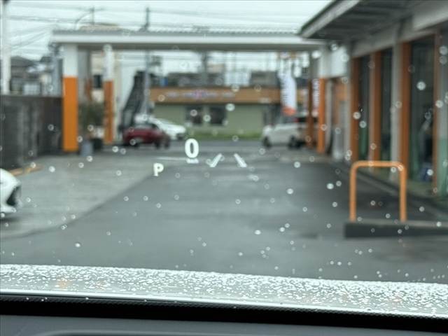 05.jpg