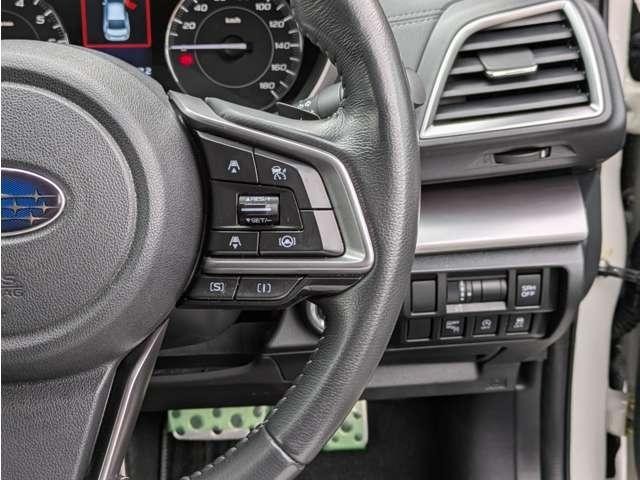 25055149_carP_l_20.jpg