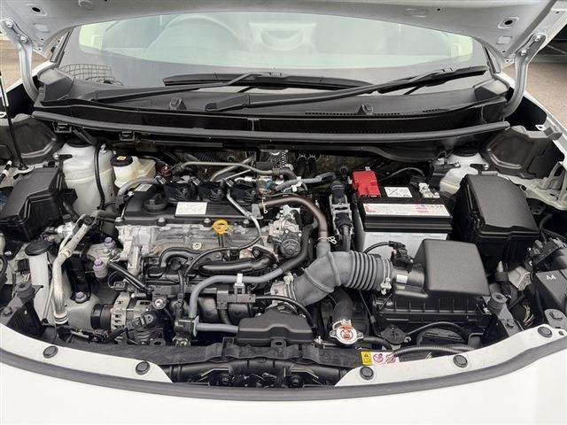24906598_carP_l_7.jpg