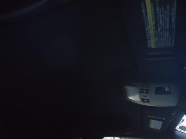 22549397_carP_l_12.jpg