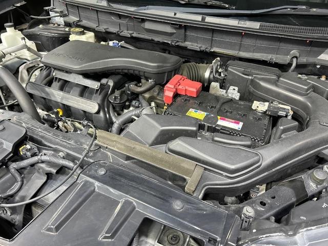 22620769_carP_l_18.jpg