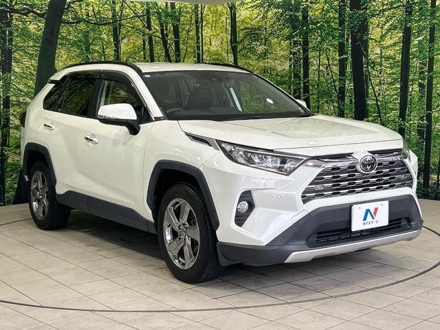 25056496_carP_l_11.jpg