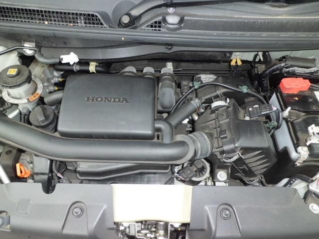 23693266_carP_l_17.jpg