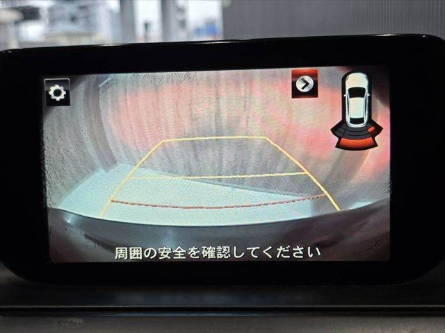 06.jpg