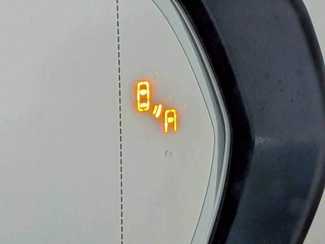 09.jpg