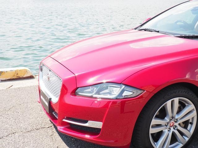12936291_carP_l_19.jpg