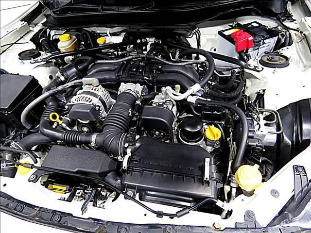 15998024_carP_l_20.jpg