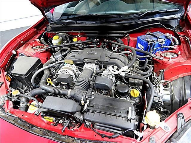 16134267_carP_l_20.jpg