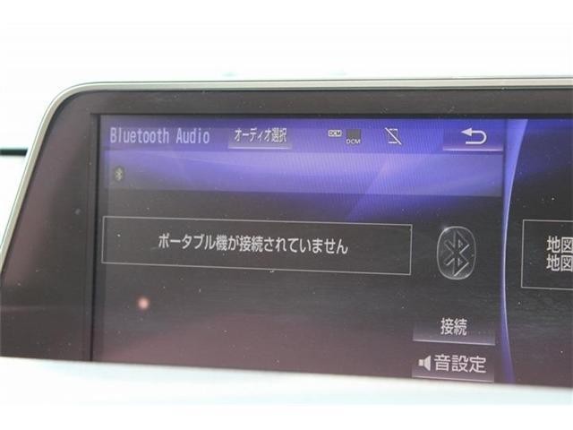 25824680_carP_l_10.jpg