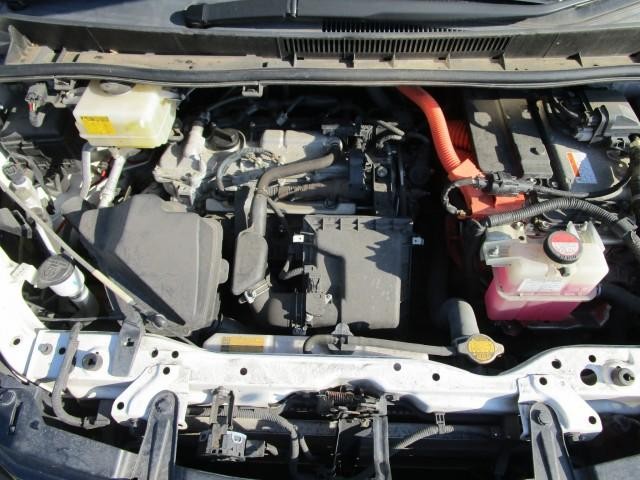 25389783_carP_l_17.jpg