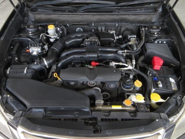 25544087_carP_l_20.jpg