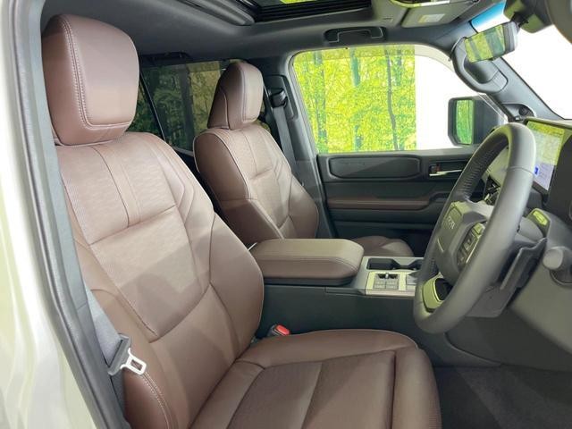 25611756_carP_l_17.jpg
