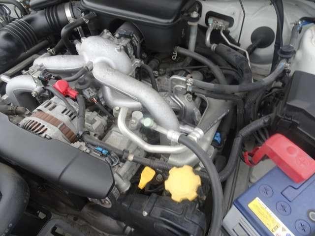 17948355_carP_l_8.jpg