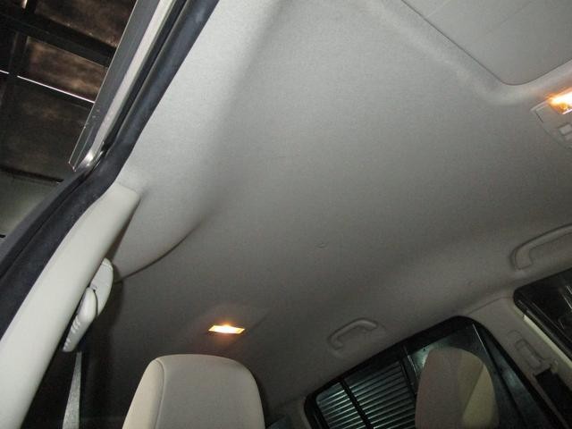 22614207_carP_l_16.jpg