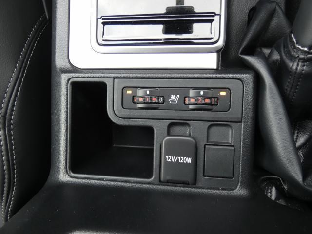 19988357_carP_l_16.jpg