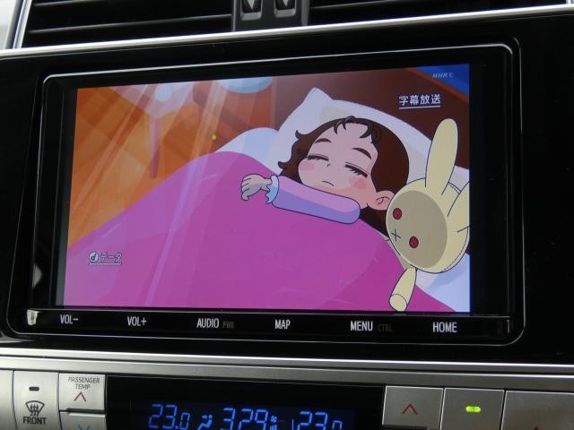 19988357_carP_l_9.jpg