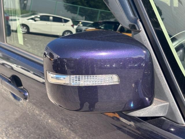 25648225_carP_l_9.jpg
