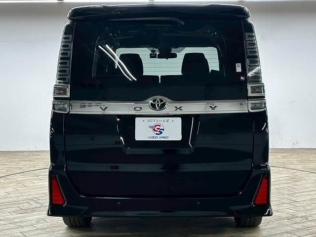 22869666_carP_l_18.jpg