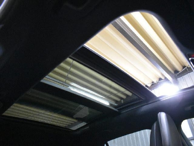 25040988_carP_l_10.jpg