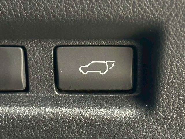 06.jpg