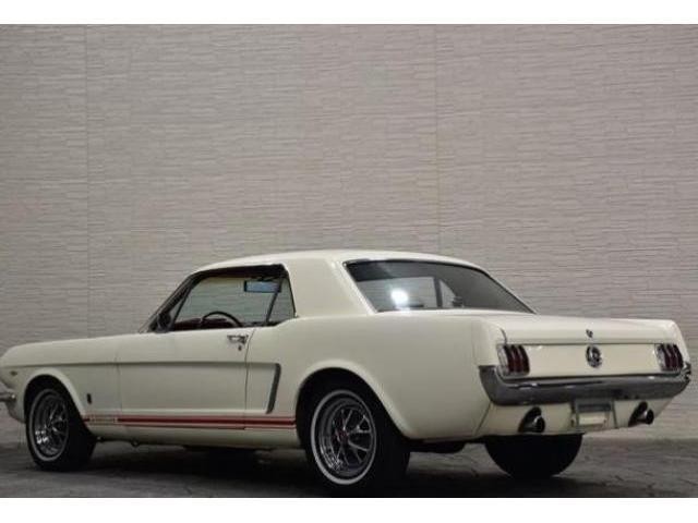 19766644_carP_l_3.jpg