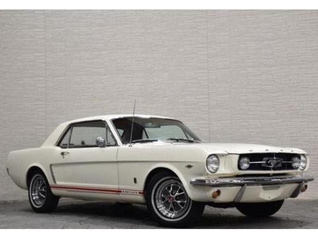 19766644_carP_l_1.jpg