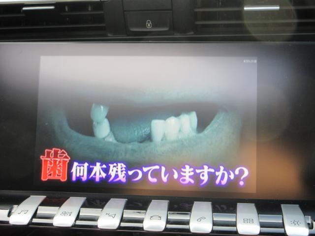 20762515_carP_l_10.jpg