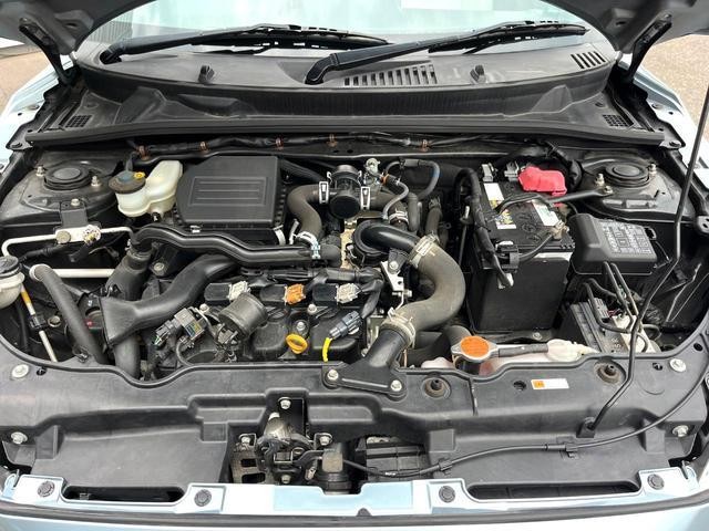 25632452_carP_l_12.jpg