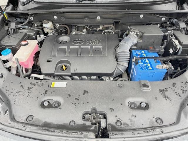 24953500_carP_l_12.jpg